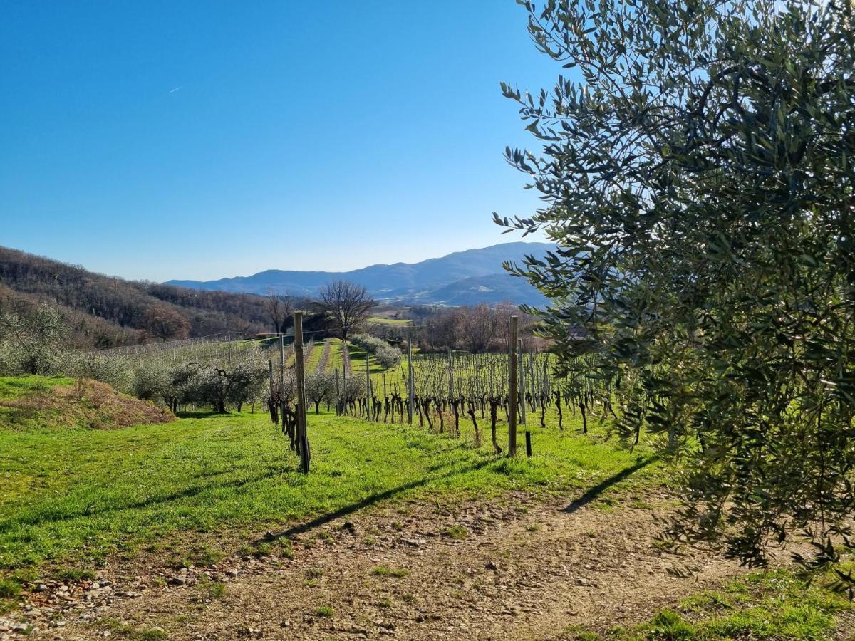 Walkandrace Sant'Agata  외부 사진