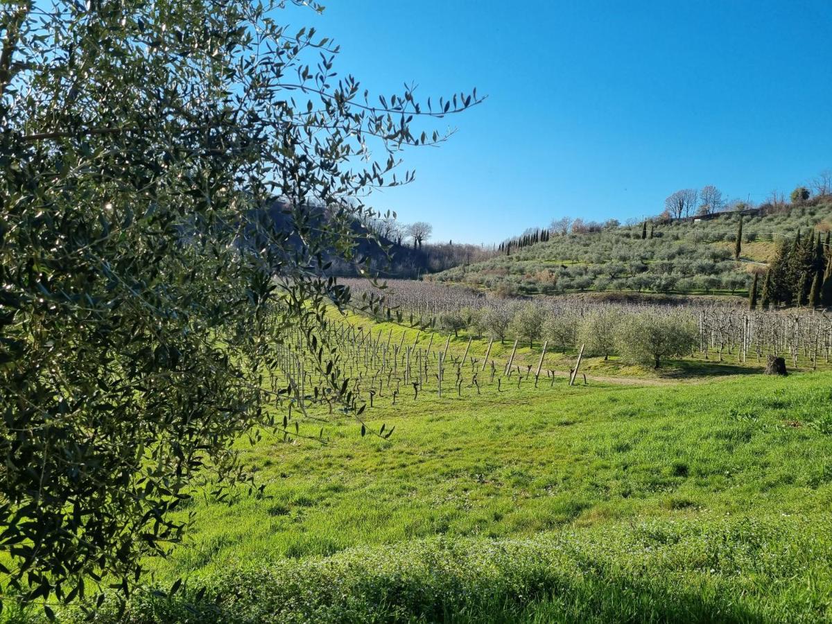 Walkandrace Sant'Agata  외부 사진